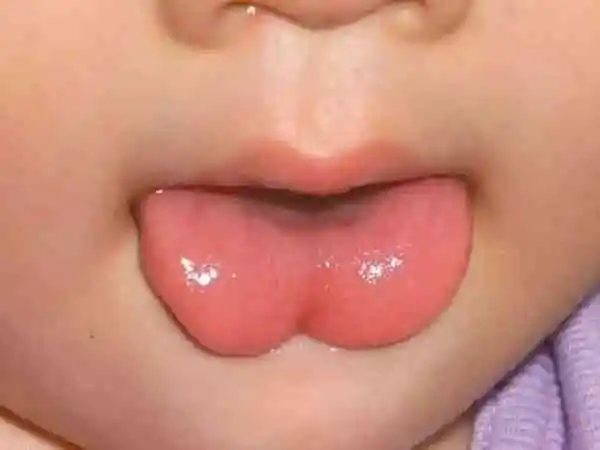 生兔宝宝忌讳哪个月出生