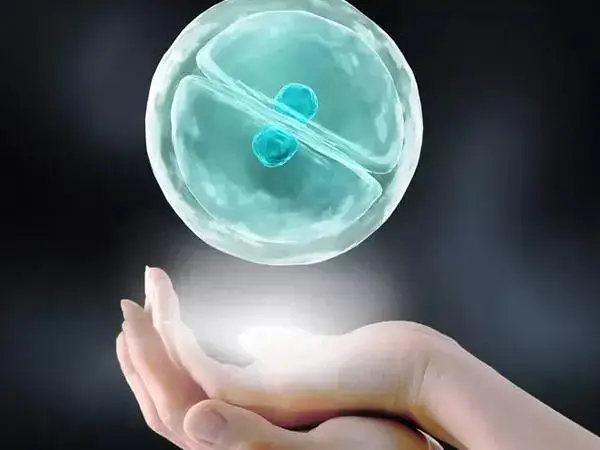 试管婴儿冻胚移植后能不能洗澡