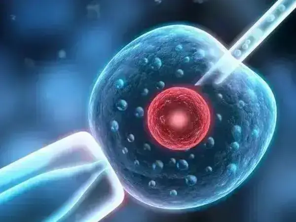 如何确保试管婴儿宝宝的健康