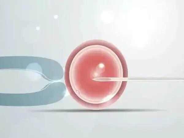 过敏体质能不能做试管婴儿生小孩