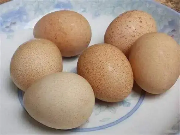 宝宝扁桃体发炎能不能吃鸡蛋