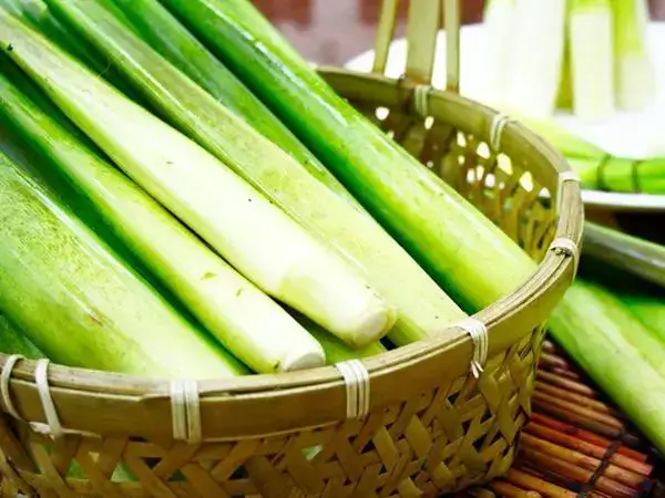 能让哺乳期妈妈奶水变多的食物有哪些