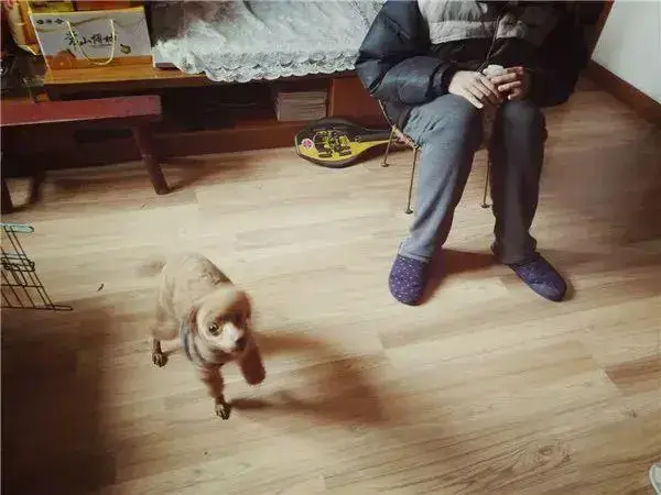 父母离异后孩子会出现的心理问题有哪些