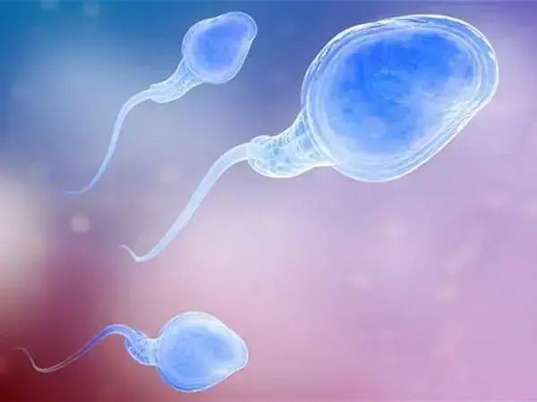 合肥三代试管婴儿费用大概要多少钱