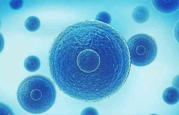 拮抗剂方案的优缺点有哪些