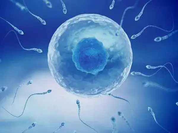 三代试管婴儿的适用条件是什么