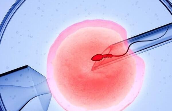 41岁做试管婴儿怎么提高成功率