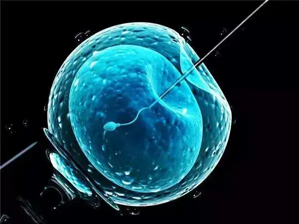 试管婴儿自然周期促排卵有什么好处