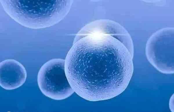 胚胎移植多次不着床有什么办法解决