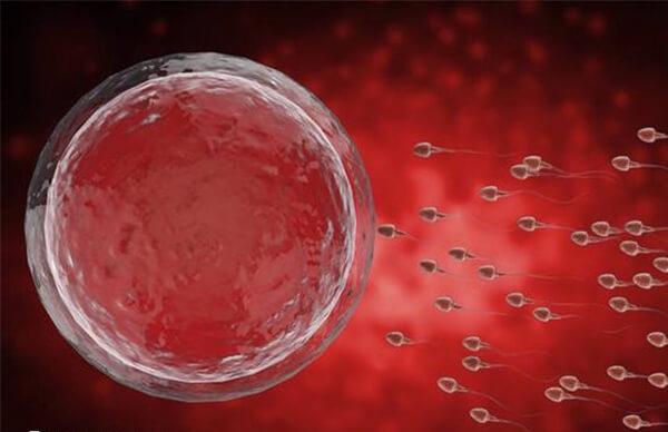 试管短方案流程是怎样的