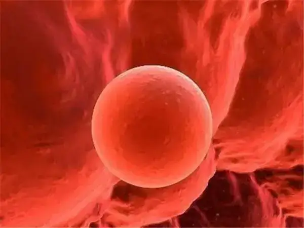 试管婴儿孕早期出血的原因是什么