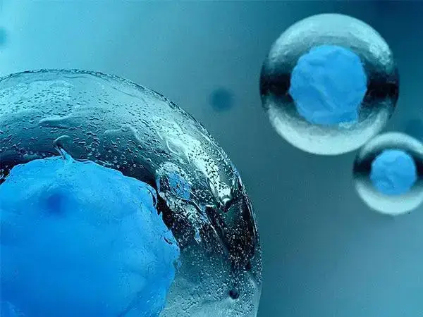 试管婴儿冻胚移植失败的症状有哪些