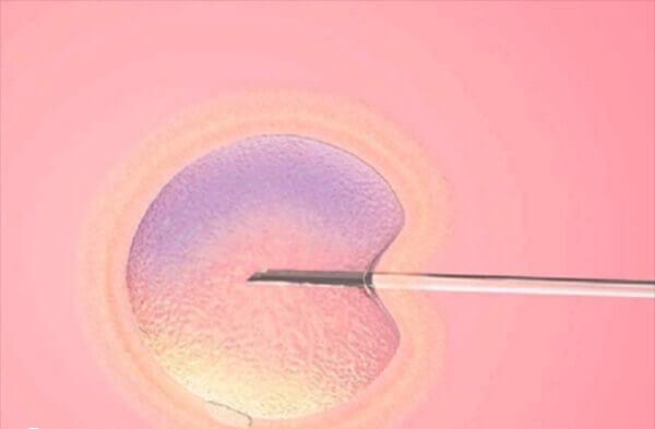 囊胚移植成功着床的征兆有哪些