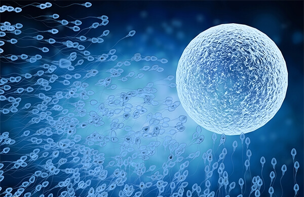 格鲁吉亚试管技术优势有哪些