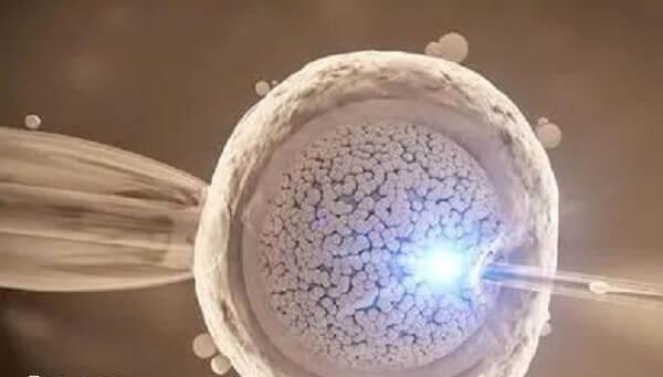 一代试管和二代试管技术优缺点有哪些