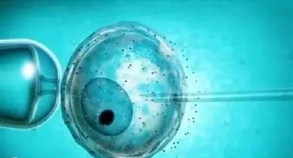 囊胚移植后胎停补救方法有哪些