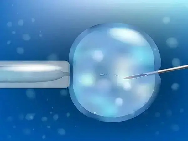 试管婴儿成功的征兆有哪些