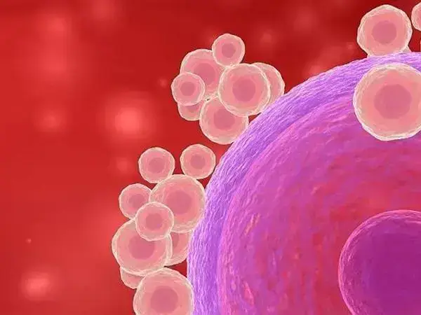 试管婴儿卵泡大小不均匀解决方法是什么