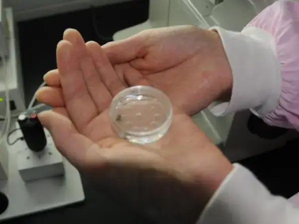 试管婴儿销毁剩余胚胎的流程是怎样