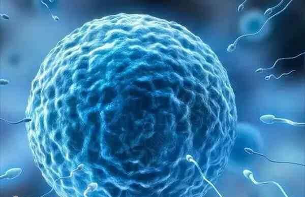 提高试管婴儿两步移植法成功率的方法有哪些