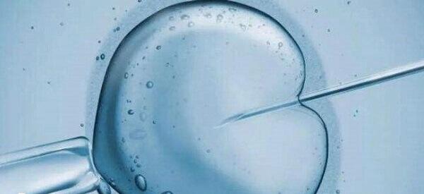 试管婴儿养囊需要满足的条件有哪些