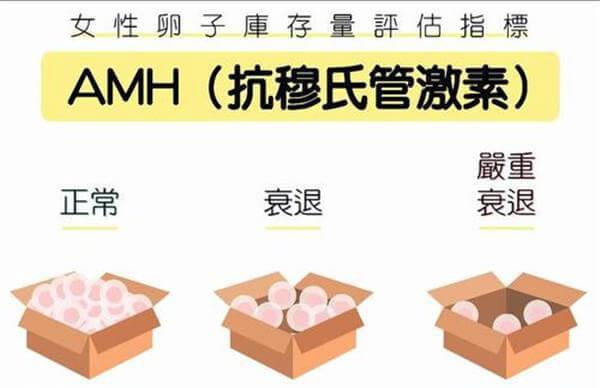 高龄试管婴儿检查AMH的作用有哪些