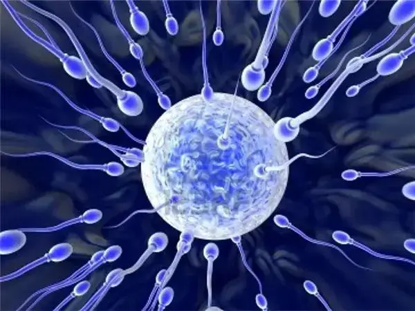 试管婴儿人工周期用药流程是怎样的