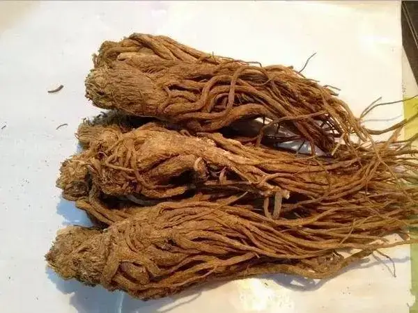 试管婴儿移植前调理子宫的药材有哪些