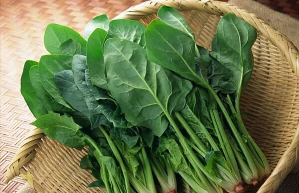 贫血必吃10种食物是什么