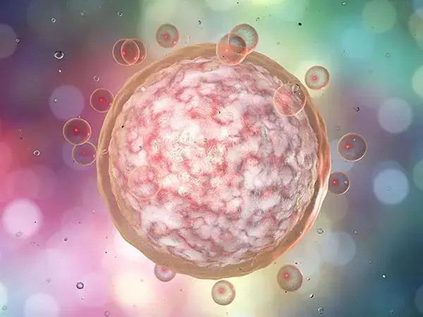 子宫被结核感染可不可以做试管婴儿