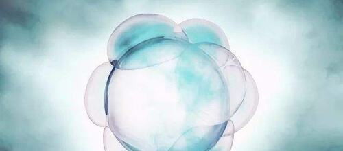 窦卵泡数量少怎么办