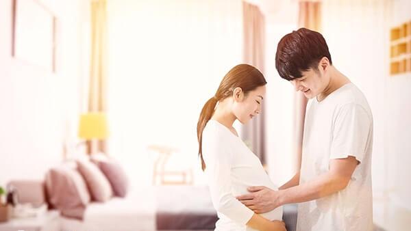 金领冠和雀巢孕妇奶粉哪个好