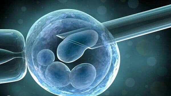 俄罗斯和乌克兰三代试管哪个好