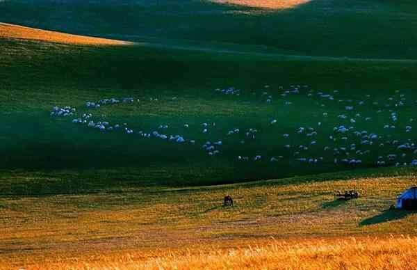 呼和浩特试管婴儿医生哪个好