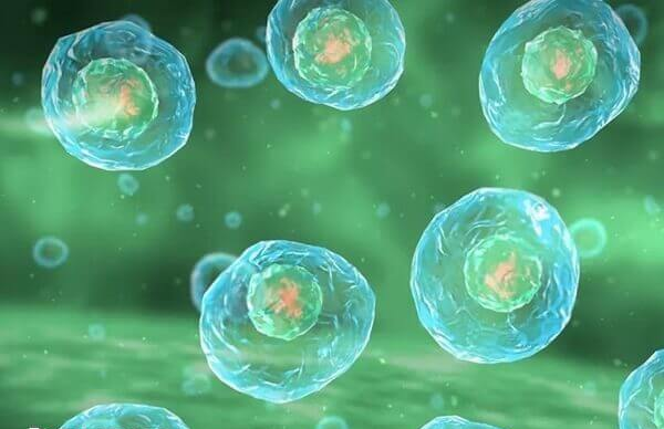 呼和浩特不孕不育医院排名是怎样