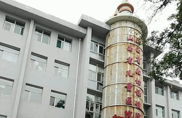 太原第三代试管婴儿费用多少