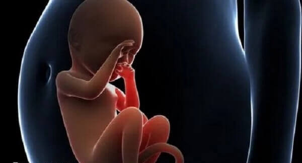 试管婴儿和正常出生的孩子有没有区别