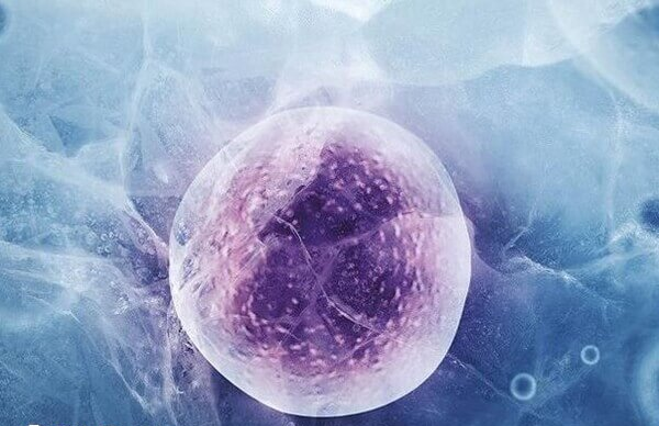 武汉冻卵哪个医院