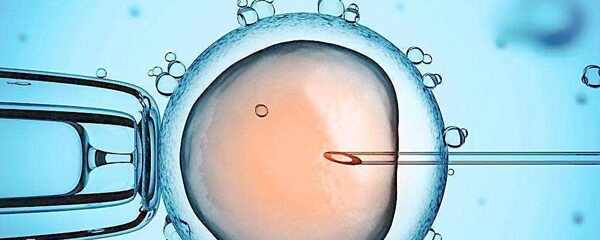 人工授精成功率低是什么原因