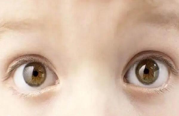 婴儿智商高的10大特征是哪些