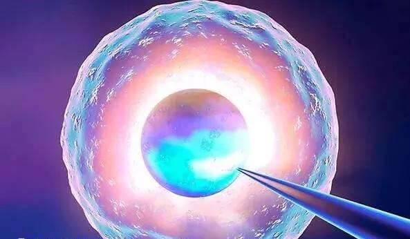 取卵不打麻药能不能忍受