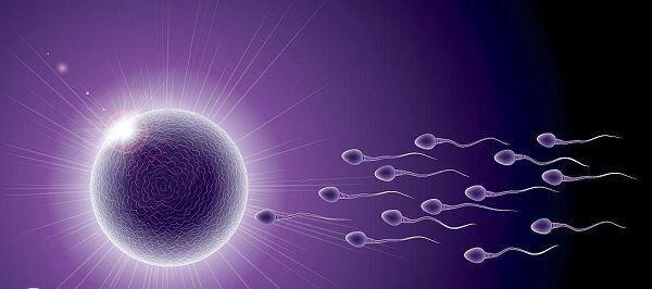 A级精子正常值多少