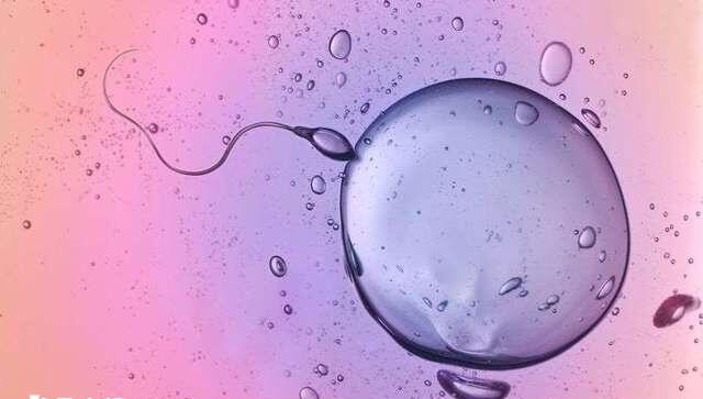 生精片可不可以提高精子质量