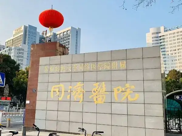 武汉同济医院三代试管婴儿费用多少
