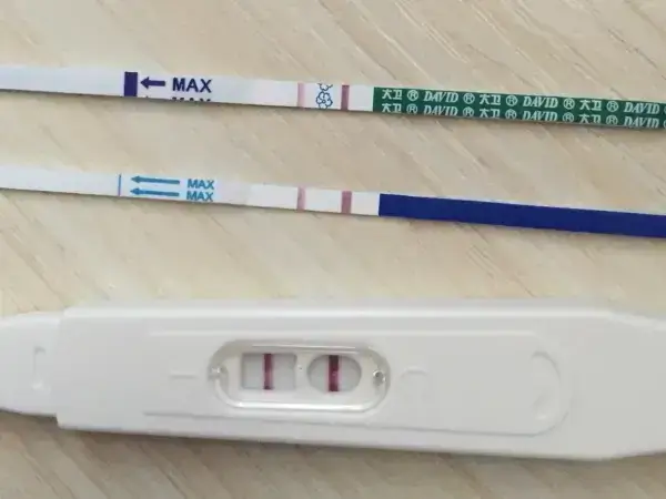 验孕棒有两条杠但是没怀孕是什么原因