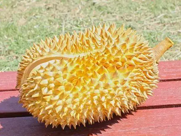孕妇吃榴莲的好处是什么