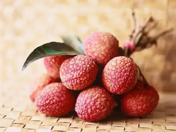 孕妇前三个月能不能吃荔枝