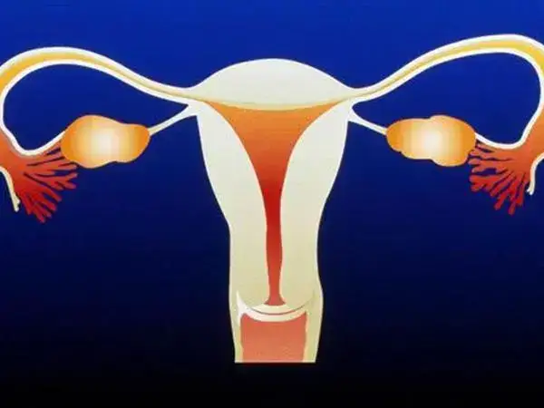 女性宫寒怎么调理怀孕
