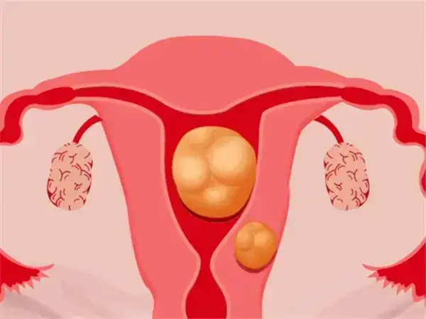 女人的安全期是怎么算的