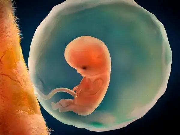 天津幼稚子宫做一次试管婴儿多少钱